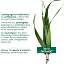 Garnier Organics Fresh Lemongrass Balancing Moisturiser 50ml