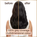Garnier Good Permanent Hair Colour 2.0 Truffle Soft Black