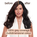 Garnier Good Permanent Hair Colour 2.0 Truffle Soft Black