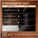 3x Garnier Good Permanent Hair Colour 2.0 Truffle Soft Black
