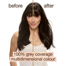 3x Garnier Good Permanent Hair Colour 4.0 Cacao Brown