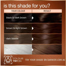 12x Garnier Good Permanent Hair Colour 4.0 Cacao Brown