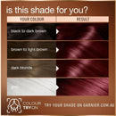 Hair color chart with different shades and a Garnier logo on a brown background