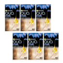 6x Garnier Olia Hair Colour Max Bleach