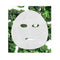 Garnier Skin Active Niacinamide Detox Ampoule Face Sheet Mask Kale Extract 15g
