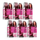 6x L'Oreal Paris Casting Creme Gloss Semi-Permanent Hair Colour 426 Auburn