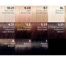 6x L'Oreal Paris Preference Permanent Hair Colour 6.21 Zurich Cool Iridescent Light Brown