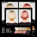Before and after hair color transformation with a color guide for shade 9.213.