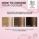 6x L'Oreal Paris Excellence Creme Hair Colour 9.1 Light Ash Blonde