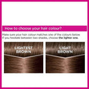 12x L'Oreal Paris Excellence Creme Hair Colour 6 Light Brown