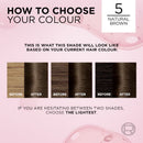 3x L'Oreal Paris Excellence Creme Hair Colour 5 Natural Brown