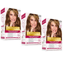 3x L'Oreal Paris Excellence Creme Hair Colour 6.3 Light Golden Brown