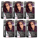6x L'Oreal Paris Preference Vivids Permanent Hair Colour 4.261 Dark Purple