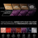 6x L'Oreal Paris Preference Vivids Permanent Hair Colour 4.261 Dark Purple