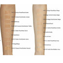 3x L'Oreal Paris True Match Liquid Foundation 30mL 1.D/1.W Warm Dore