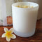Rosy Gold Double Scented Candles Large Frosted Satin Pina Colada - Makeup Warehouse Australia 